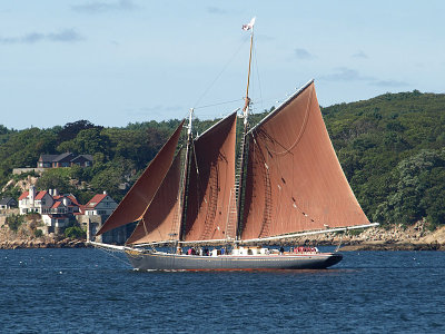 P9066779a.jpg