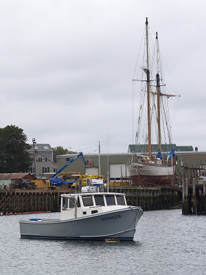 P9022700a.jpg