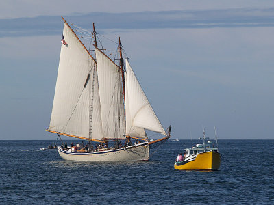 P9043054a.jpg