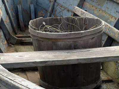 P9056016a.jpg