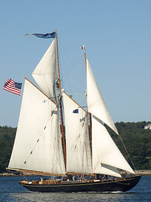 P8313923a.jpg