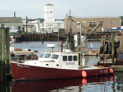 P9056012a.jpg
