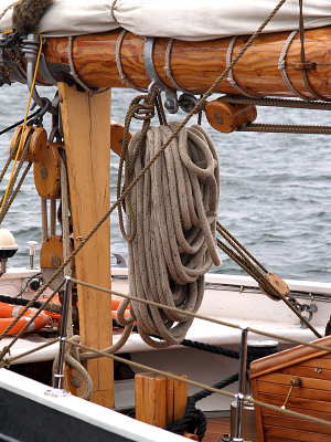 P9022638a.jpg