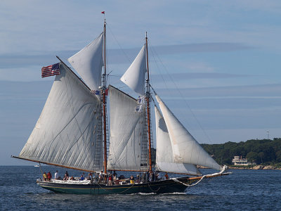 P9042854a.jpg