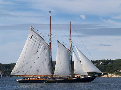 P9043114a.jpg