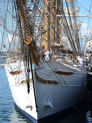 DSC_0145a.jpg