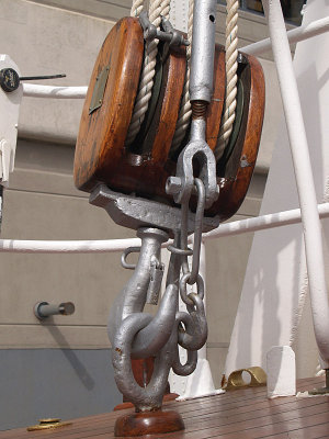 P9307902a.jpg