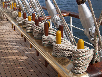 P9307927a.jpg