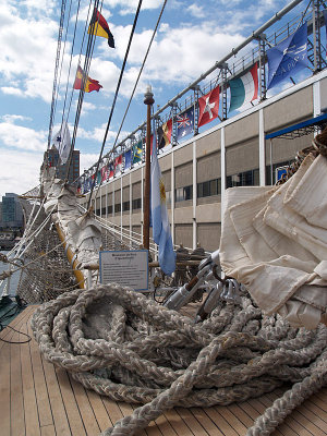 P9307921a.jpg