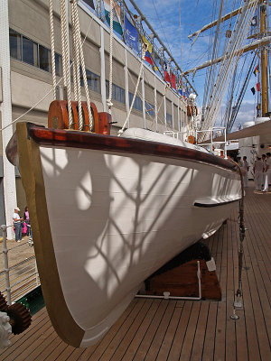 P9307900a.jpg