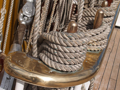 P9307953a.jpg