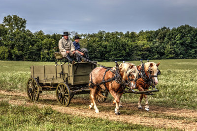 Confederate Supply Wagon