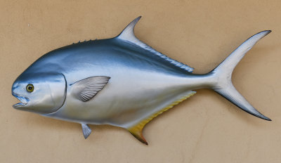 Pompano