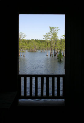 View From George Smith Covered Bridge