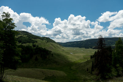 IMGP0555.jpg