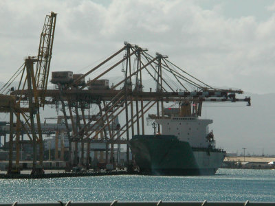 DSCN3431.jpg