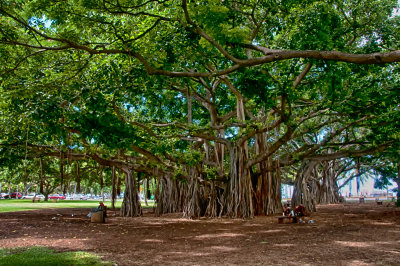 DSC_0643.HDR.jpg
