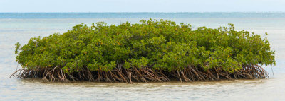 DSC_3347.jpg