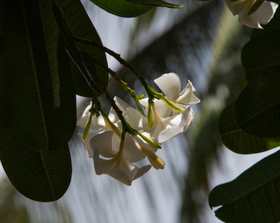 DSC_5560.jpg