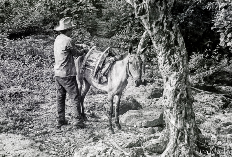 Caballo and Caballero