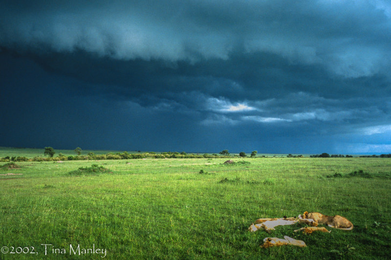 Sleeping Pride, Approaching Storm