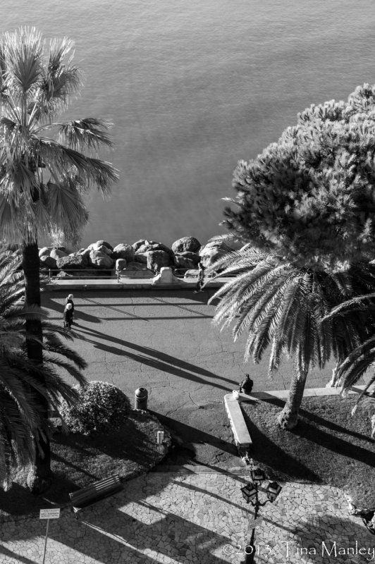 Early Morning Shadows