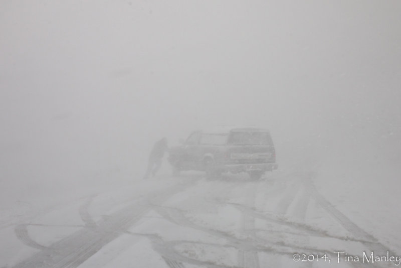 White Out!