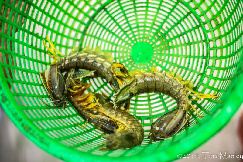Prawns?