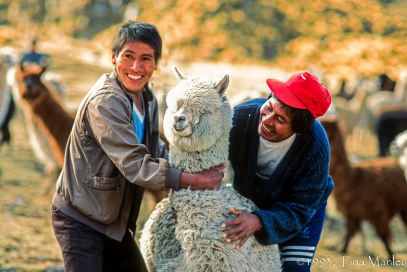 Alpaca Farmers with HPI Alpaca