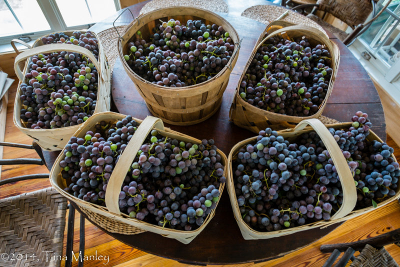 5 Baskets from 6 Vines