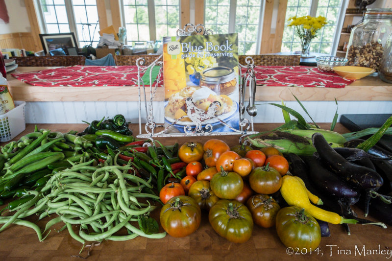 Yesterdays Harvest