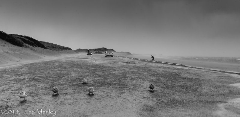 Cape Cod National Seashore