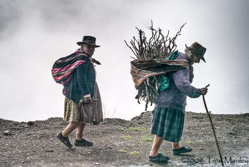 Firewood Gatherers