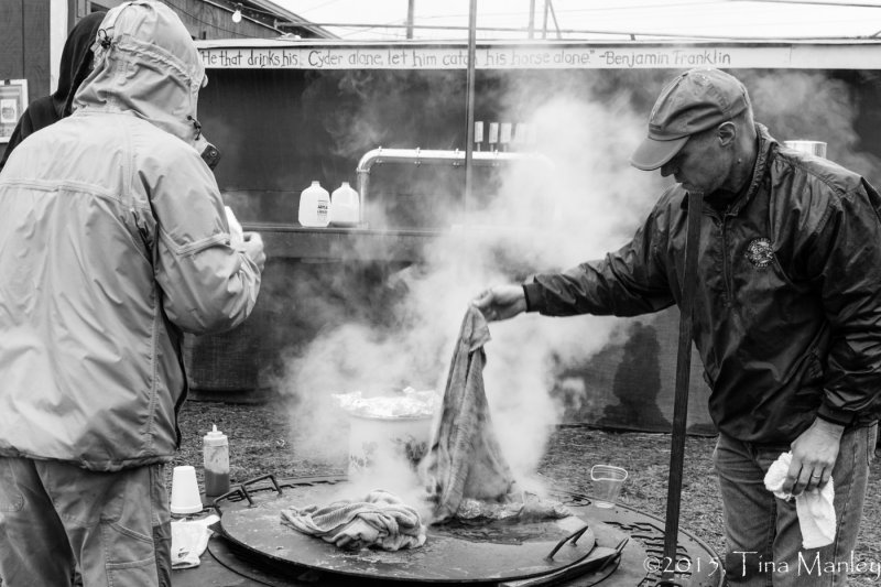 Steaming the Oysters