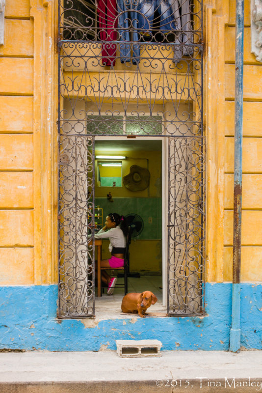 The Nail Shop