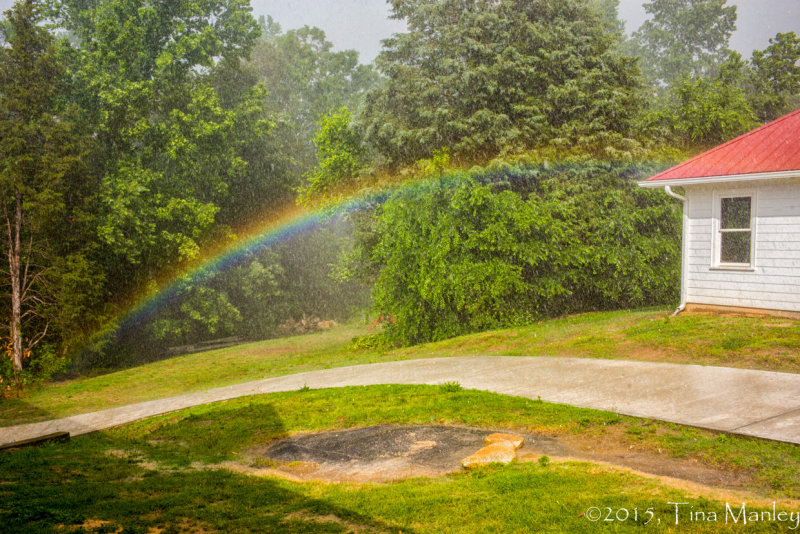 Backyard Rainbow