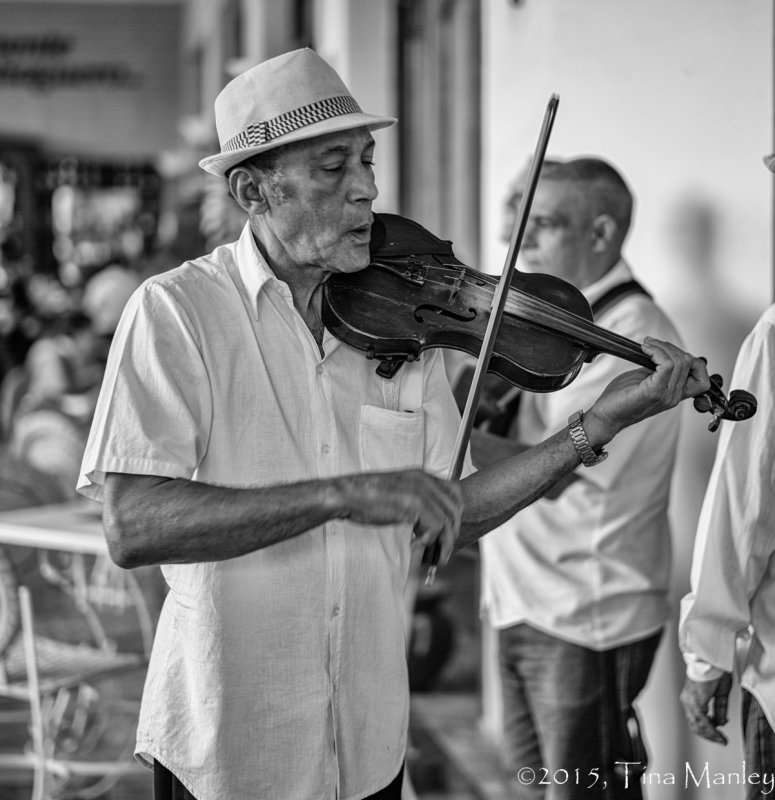 Whistling Fiddler
