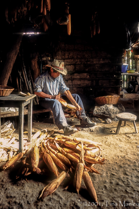 Jose Dominguez, Shucking Corn