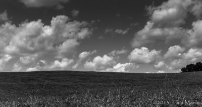 Summer Afternoon at the Farm