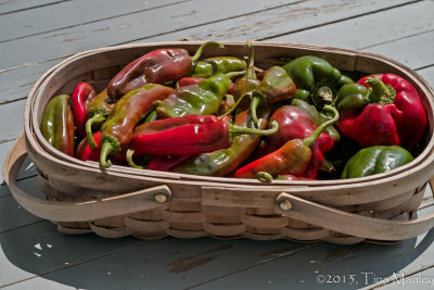 Peppers!