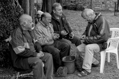 Chestnut Festival