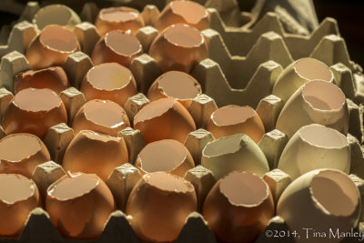 Eggshells, 1