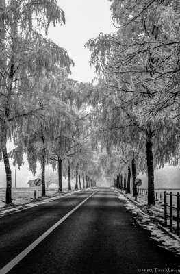 Monochrome, Frozen Fog