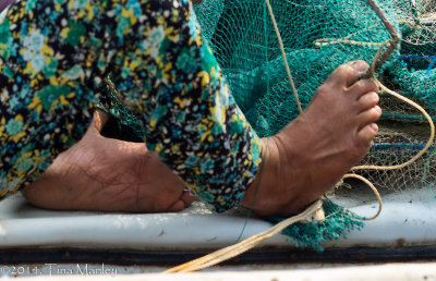 Crop of Mending Traps, III