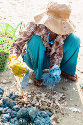 Net Bags of Seafood