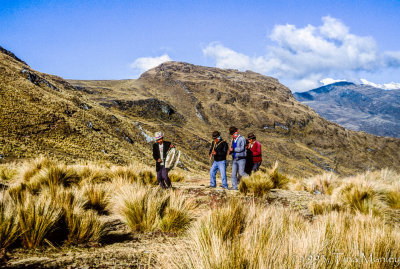 Alpaca Farmers, 2