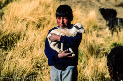 Aymara Boy with HPI Lamb