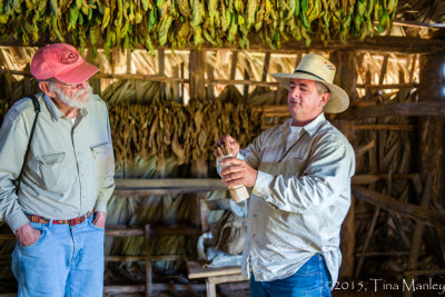 Buying Cigars from Angel