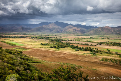 Coming Rain