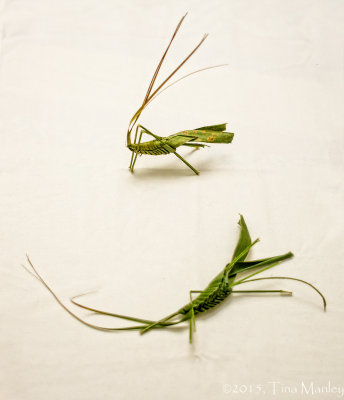 Grasshoppers Made from Palm Leaf